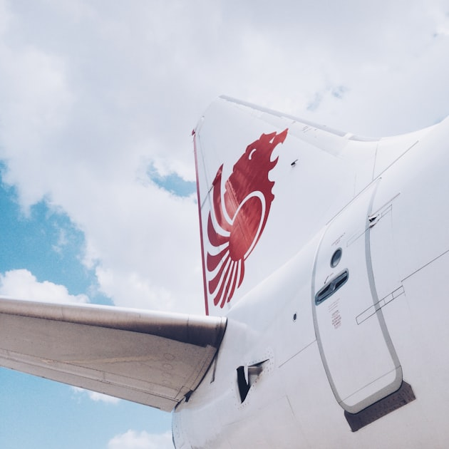 Understanding the Aviation Services Market